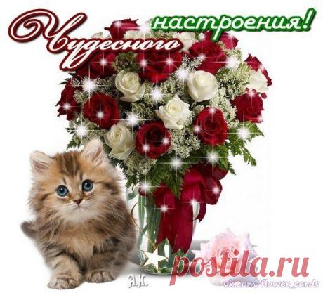 Новости