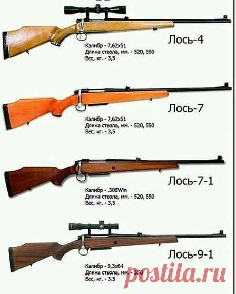 Разновидности Лосей.
