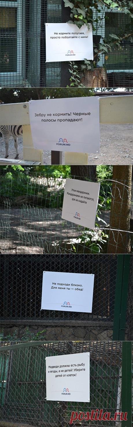 Позитив из зоопарка • НОВОСТИ В ФОТОГРАФИЯХ