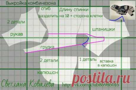 Выкройки одежды для собак, шьём сами