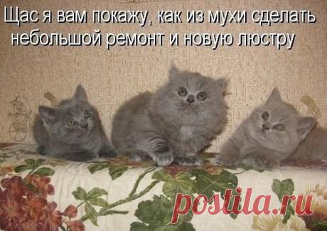 Интересные новости