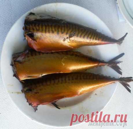 Скумбрия горячего копчения в домашних условиях