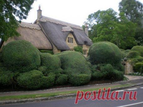 «Планета Земля - чудо Вселенной!»