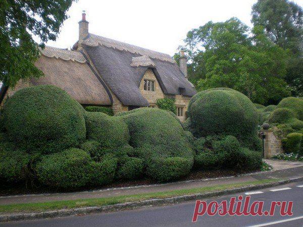 «Планета Земля - чудо Вселенной!»