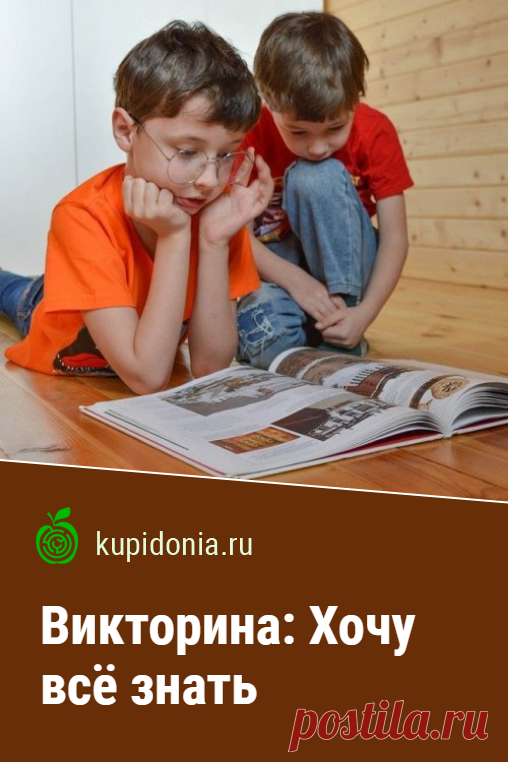 Викторина: Хочу всё знать. Познавательный тест с интересными вопросами из разных областей. Проверьте свои знания!