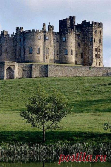 Pinterest: инструмент для поиска и хранения интересных идей