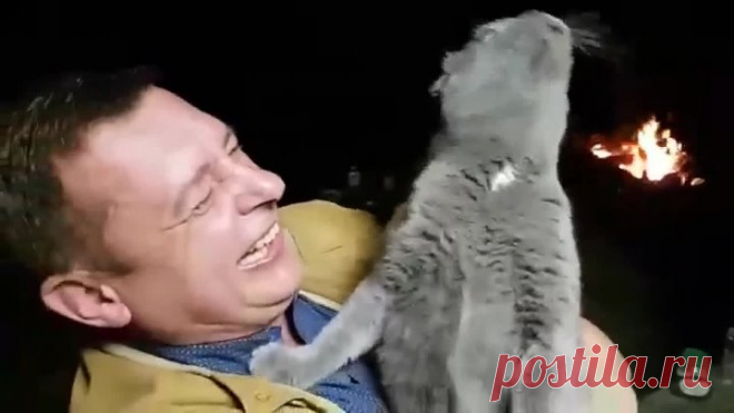 Этот Котик точно был певцом в прошлой жизни или актёром. Очень классный!