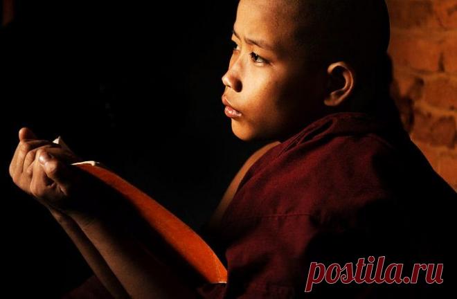 23 самые мудрые мысли буддизма |