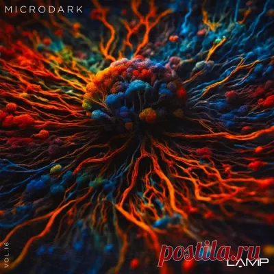 Microdark, Vol. 16 (2024)