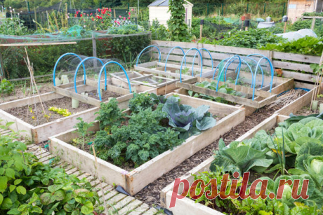 Поднятая грядка своими руками: полезные советы и подробная фотоинструкция