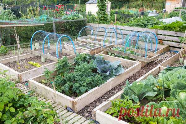 Поднятая грядка своими руками: полезные советы и подробная фотоинструкция