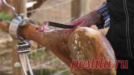 Хамон: за что ценят один из самых дорогих в мире деликатесов