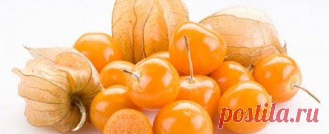 Физалис – польза и полезные свойства физалиса