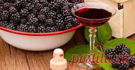 Рецепт приготовления ежевичной настойки домашнего приготовления