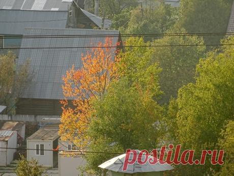 Осень, рыжая подружка. Подборка красивых осенних фотографий.