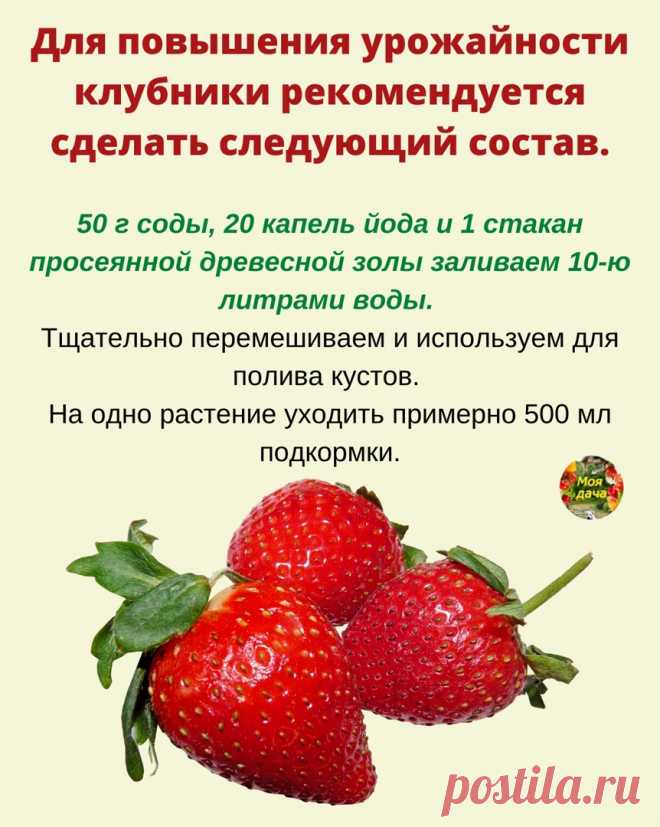 eZ56HFYKqXg6n5j7h3LYiWagYMtrwdiblMjfQnDhjKUzmRqopus67kYMICHjm7j9B_ACfZhNqJ7yYsszrU-4v3OU.jpg (862×1080)