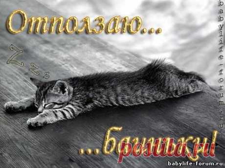 pic (Изображение JPEG, 500 × 374 пикселов)
