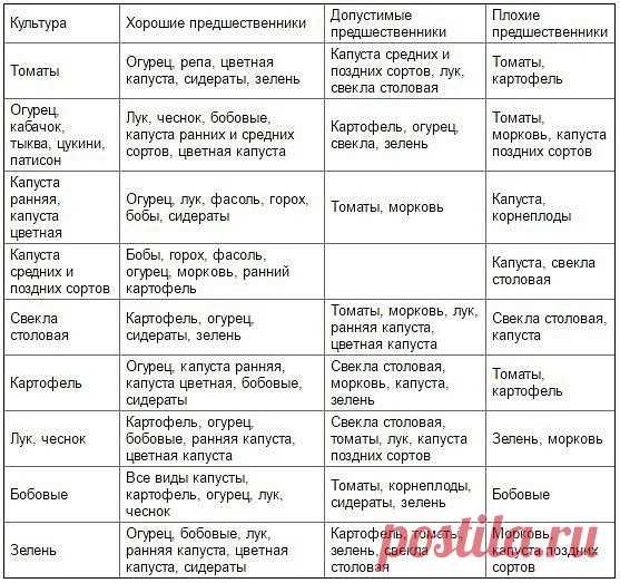 Таблица чередования посевов овощей в огороде 
 
Из севооборота овощей можно извлечь выгоду. Это и защита растений от вредителей и болезней, и сохранение плодородия почвы. Но недостаточно просто менять овощи местами от сезона к сезону, нужно учитывать, какие предшественники наиболее полезны для каждой овощной культуры. 
 
При севообороте соблюдаем правило: не сеять одну и ту же культуру второй год на старое место. Это относится и к представителям одного и того же семейства ...