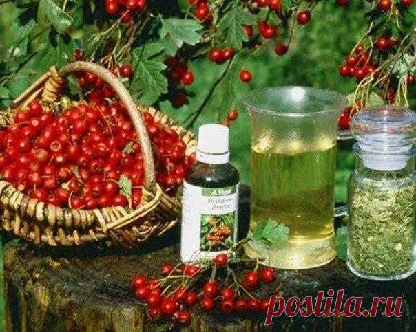 Полезности. Помоги себе сам. Разные советы.