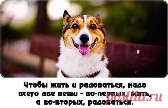 Всего две вещи!!!