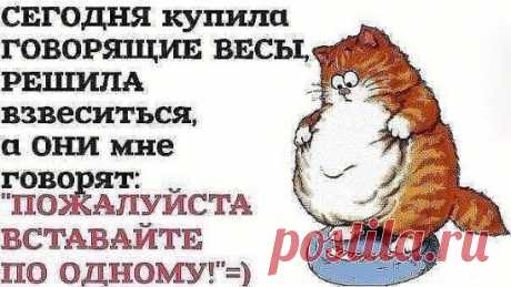 (99+) Одноклассники