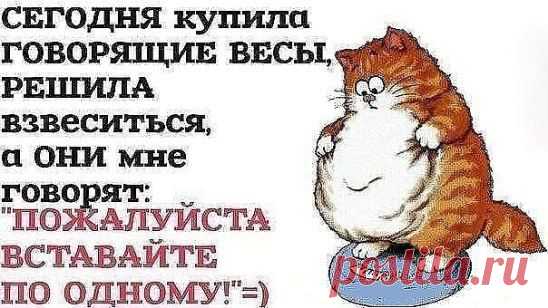 (99+) Одноклассники