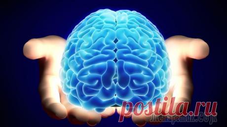 Восемь особенностей нашего мозга, до сих пор не разгаданных учёными Мозг. Говорят, он есть у всех людей.
Это один из самых сложных и непостижимых органов человеческого тела. Будь он даже намного проще, мы всё равно не сумели бы его постичь, увы. Потому что сами тогда ...