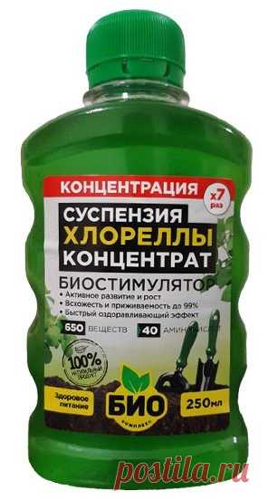 Суспензия Хлореллы концентрат 0,25л (БИО-Комплекс)