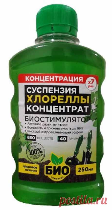 Суспензия Хлореллы концентрат 0,25л (БИО-Комплекс)