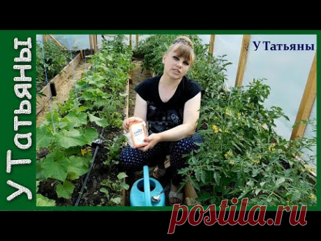 СОДА - спасатель вашего огорода! Пищевая сода - подкормка для: огурцов, томатов и других растений