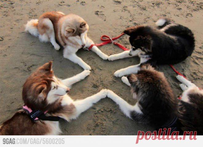 Д'артаньян и три мушкетера