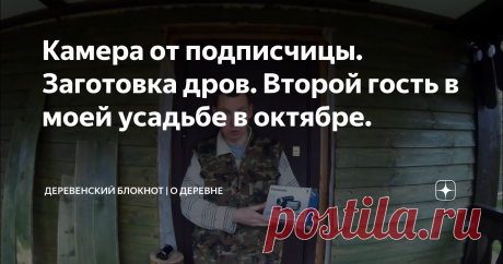 Камера от подписчицы. Заготовка дров. Второй гость в моей усадьбе в октябре.