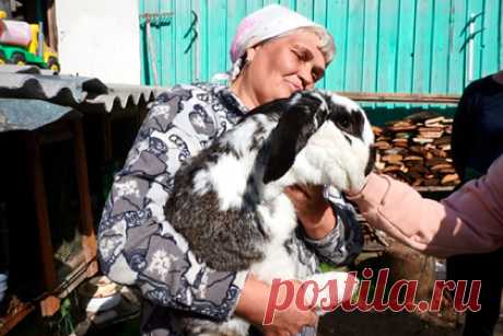 Россиянка переехала из города в северную деревню и оплатила дом холодильником. Жительница Поморья Людмила переехала из Архангельска в северную деревню, заплатив за дом холодильником и видеомагнитофоном. Женщина рассказала, что мечтала о деревенской жизни с детства. В 2006 году ее подруга рассказала о своей знакомой, которая захотела продать дом в деревне Каргомень.