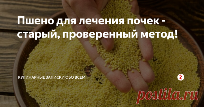 Пшено для лечения почек - старый, проверенный метод! Лечение почек пшеном — простой и недорогой способ, доступный каждому.

