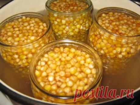 Консервирование кукурузы в домашних условиях