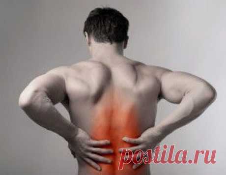 propozvonochnik.com/wppage/healthyspine2