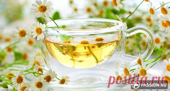 Ромашковый чай, польза и вред, рецепты