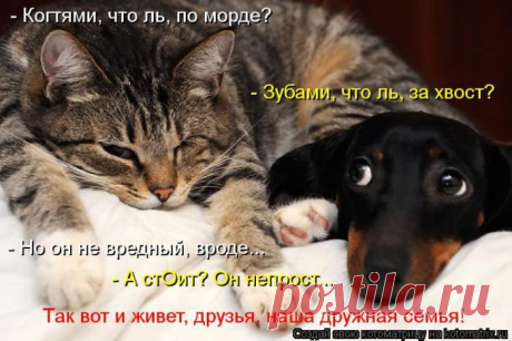 думу думают.....
