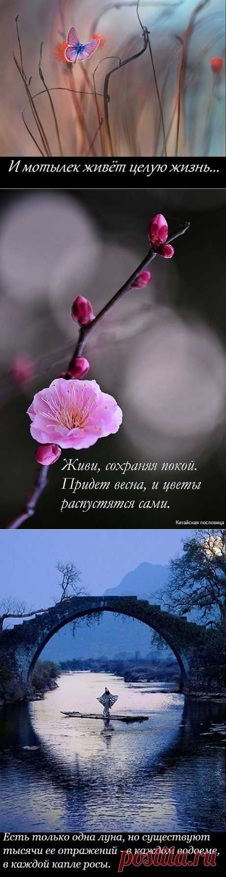 Восточное... | OWL Блюз