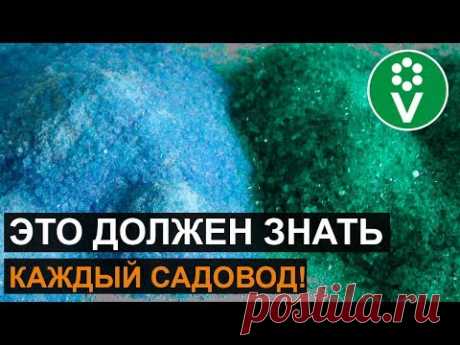 НЕ ИСПОЛЬЗУЙТЕ ЖЕЛЕЗНЫЙ КУПОРОС, пока не узнаете это важное правило!