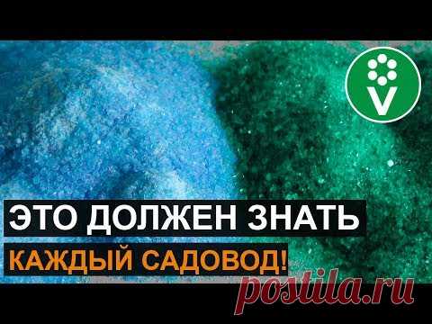 НЕ ИСПОЛЬЗУЙТЕ ЖЕЛЕЗНЫЙ КУПОРОС, пока не узнаете это важное правило!