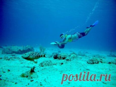 Морской круиз «Западные и восточные Карибы из Майами»