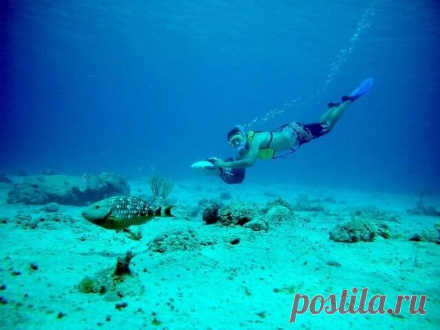 Морской круиз «Западные и восточные Карибы из Майами»