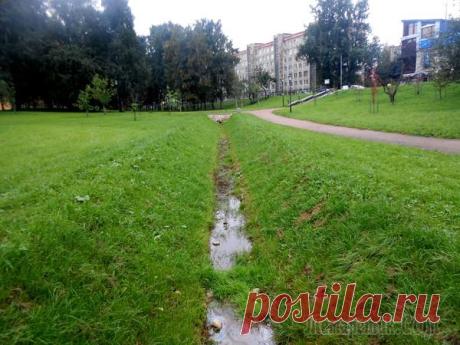 Куракина дача. Санкт-Петербург