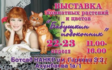 Выставки и ярмарки. оповещаем о предстоящих и проходящих - Страница 25 - Растения Страница 25 из 25 - Выставки и ярмарки. оповещаем о предстоящих и проходящих - отправлено в Растения: Выставка ярмарка комнатных цветов и садовых растений будет проходить с 23 сентября 2016 года за ТЦ "Red Center" (выше "вечного огня"). На ярмарке уже начались скидки, добро пожаловать!
