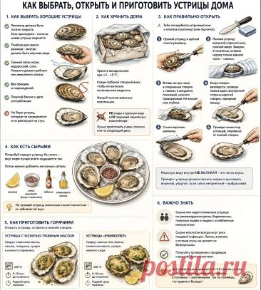 Как выбрать, открыть и приготовить устрицы дома