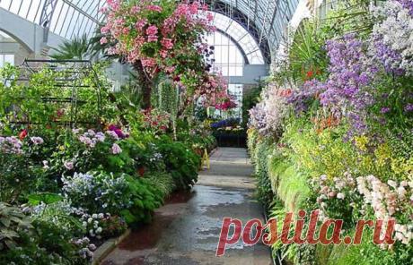 Чем теплица отличается от оранжереи