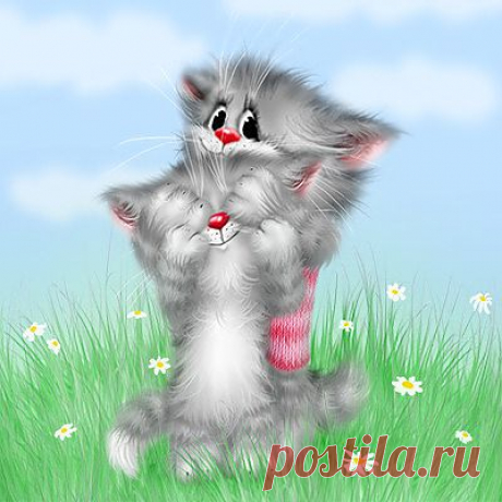 Котики.