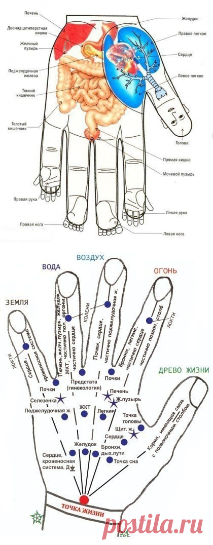 Новости