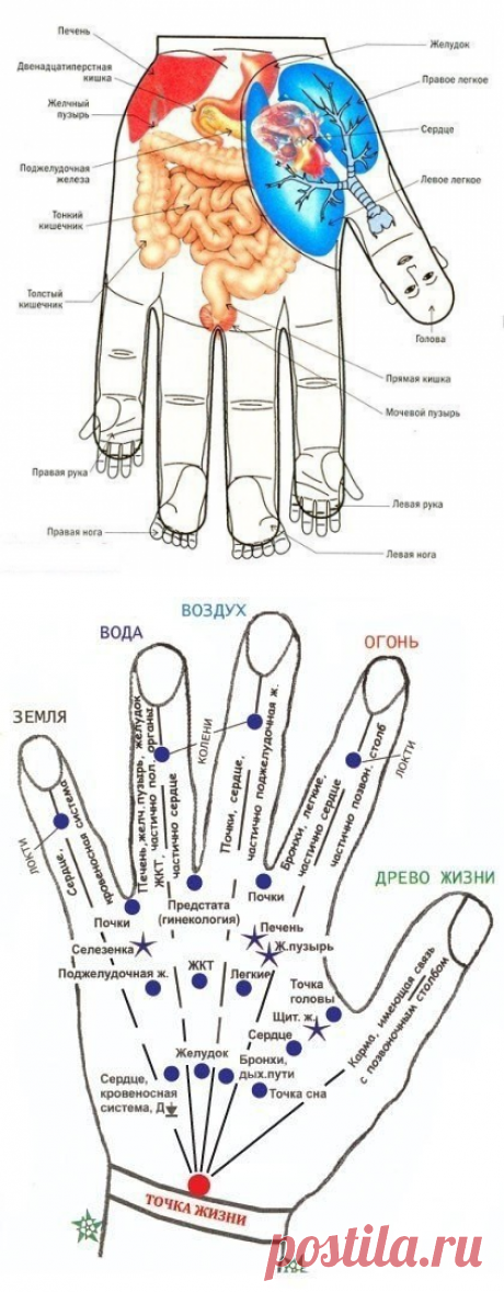 Новости